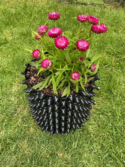 Macetas de poda de aire 21 Lts. Jardín y cultivo