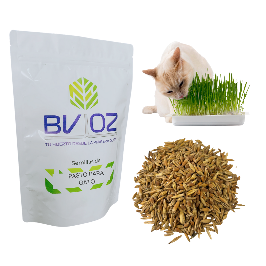 Semillas Germinado de Pasto para Gato