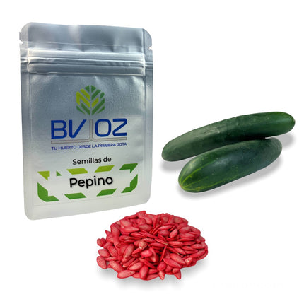 Semillas de pepino
