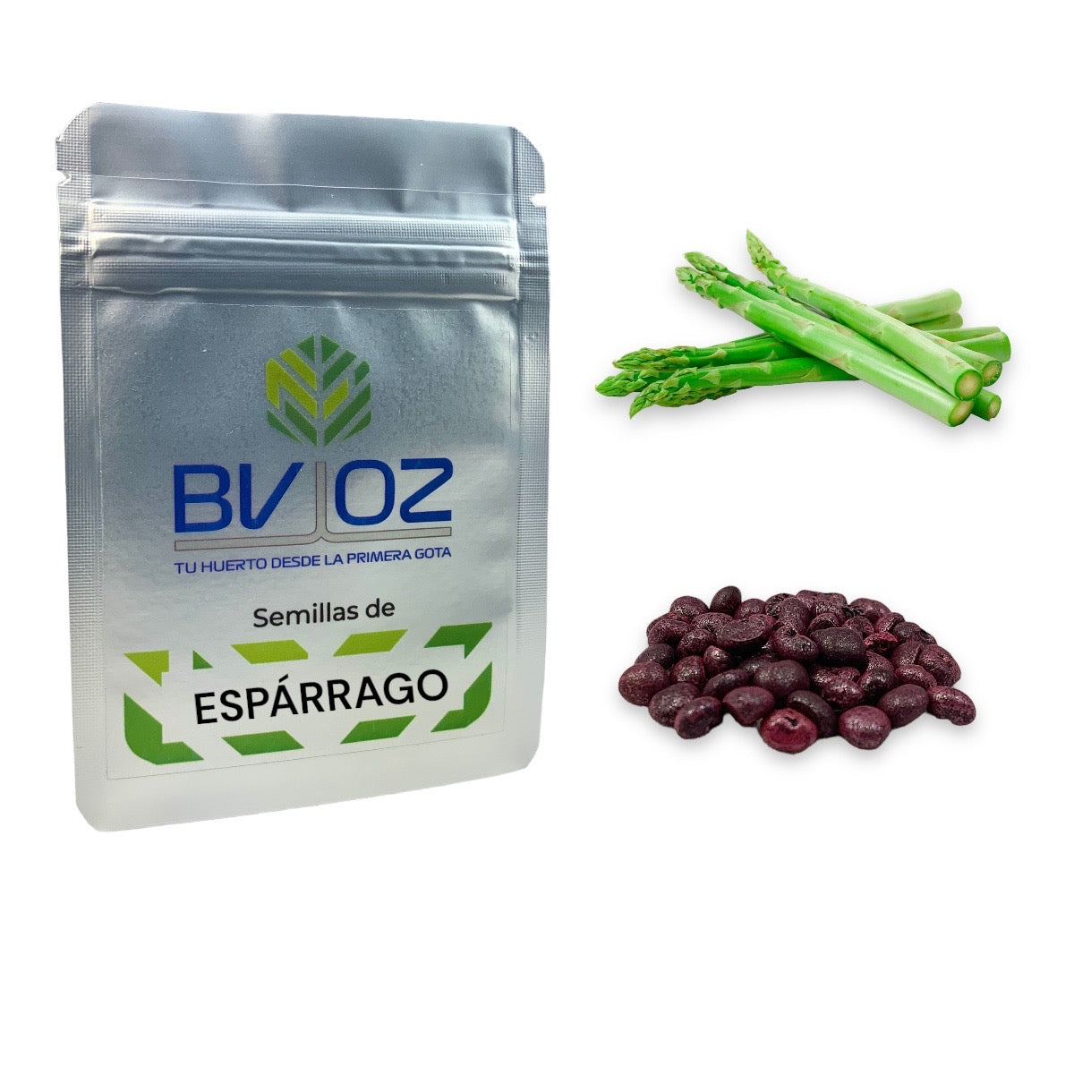 Semillas de esparrago