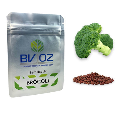 Semillas de brocoli
