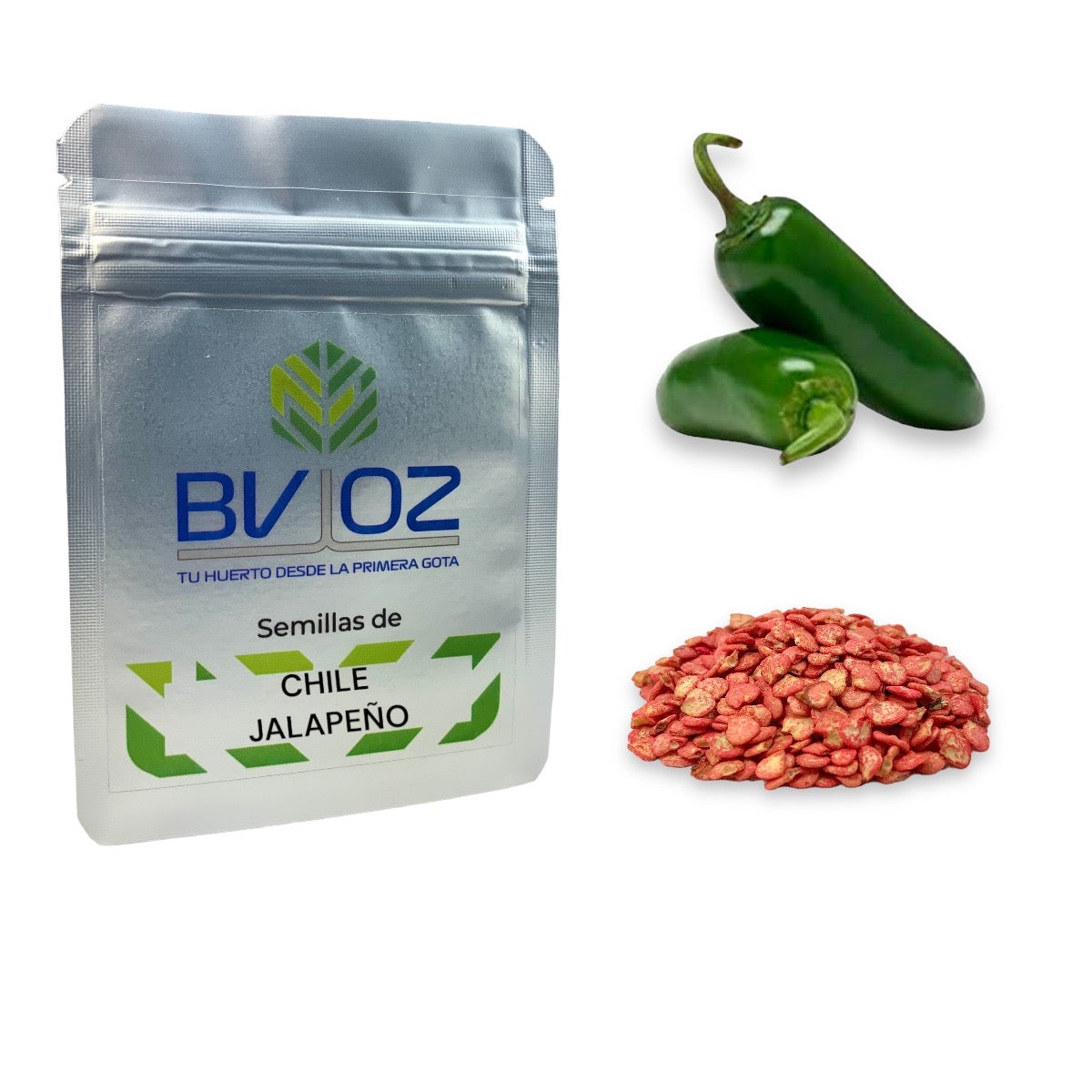 Semillas de chile jalapeño