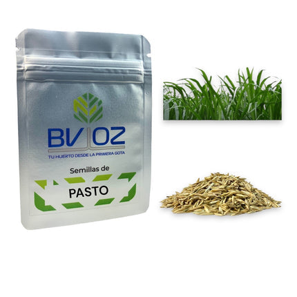 Semillas de pasto para gato para germinado