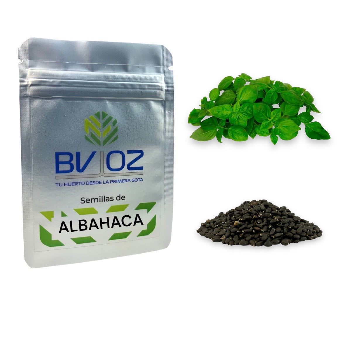 Semillas de albahaca