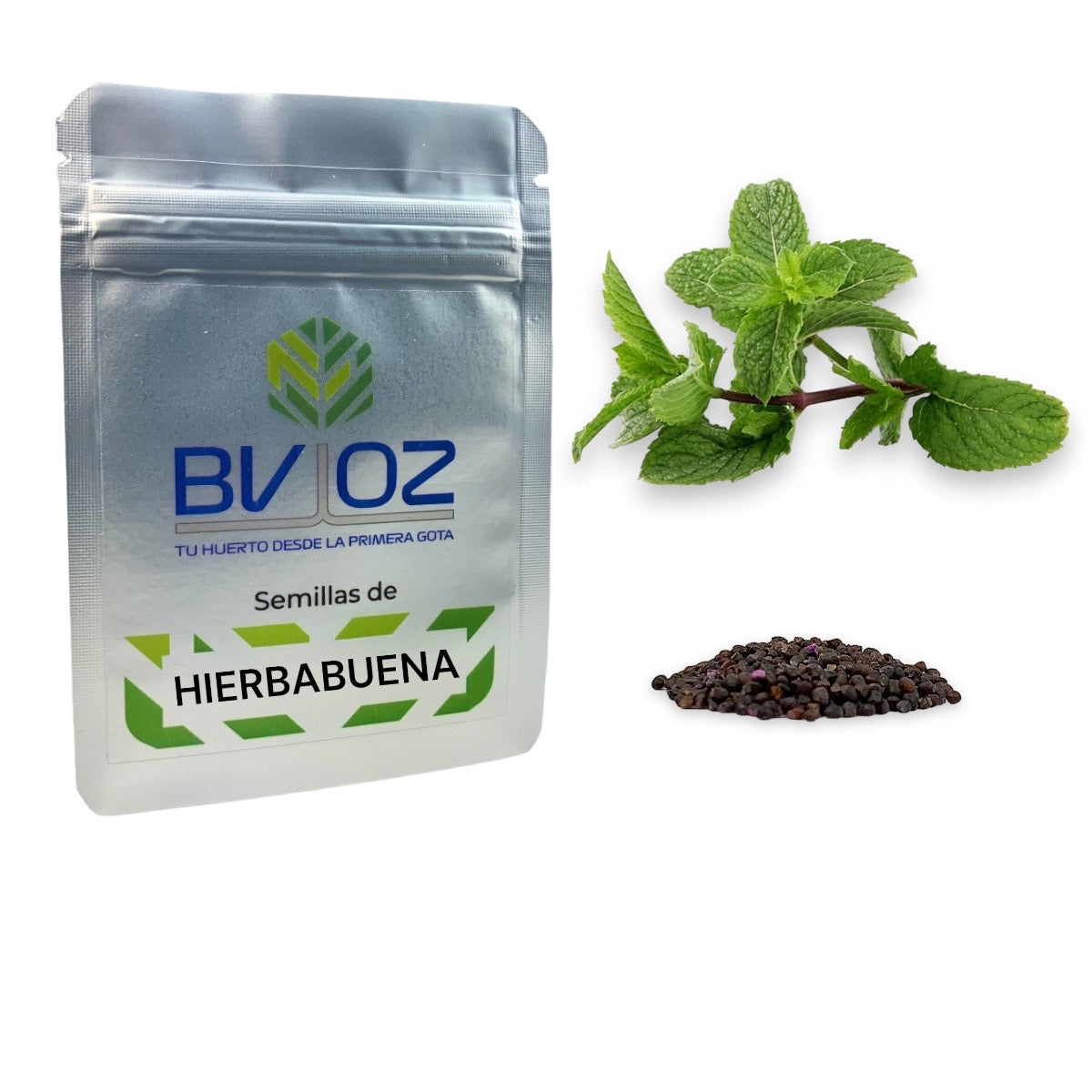 Semillas de Hierbabuena