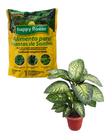 Alimento para plantas de sombra 500 gramos