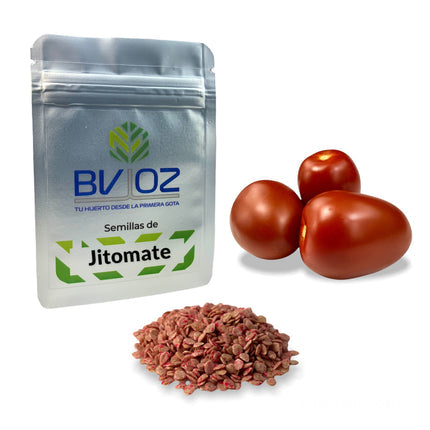 Semillas de jitomate