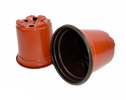 Macetas terracota 3.5 Pulgadas