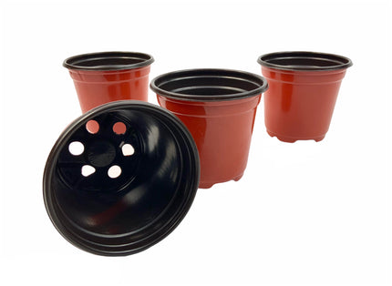 Macetas terracota 3.5 Pulgadas