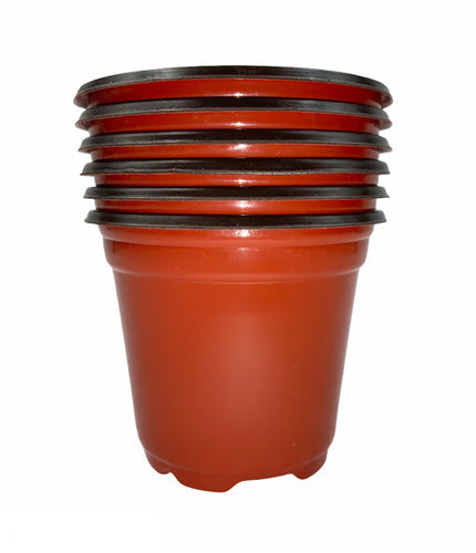Macetas terracota 3.5 Pulgadas