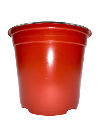 Macetas terracota 160mm