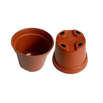 Maceta terracota 2 Pulgadas