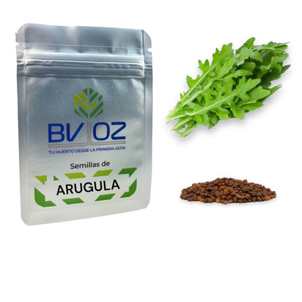 Semillas de arugula